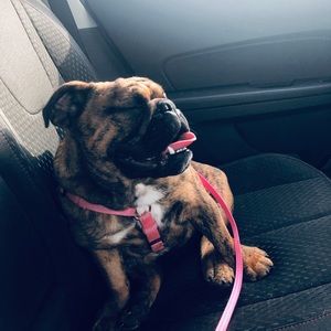 Meet your Posher, Hannah